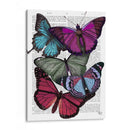 Grandes Mariposas Audaces 3 - Fab Funky | Cuadro decorativo de Canvas Lab