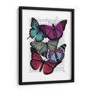 Grandes Mariposas Audaces 3 - Fab Funky | Cuadro decorativo de Canvas Lab