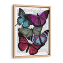 Grandes Mariposas Audaces 3 - Fab Funky | Cuadro decorativo de Canvas Lab