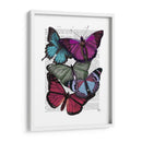 Grandes Mariposas Audaces 3 - Fab Funky | Cuadro decorativo de Canvas Lab