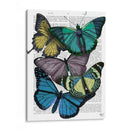 Grandes Mariposas Audaces 4 - Fab Funky | Cuadro decorativo de Canvas Lab