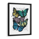 Grandes Mariposas Audaces 4 - Fab Funky | Cuadro decorativo de Canvas Lab