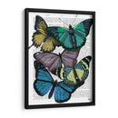 Grandes Mariposas Audaces 4 - Fab Funky | Cuadro decorativo de Canvas Lab