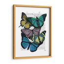Grandes Mariposas Audaces 4 - Fab Funky | Cuadro decorativo de Canvas Lab