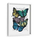 Grandes Mariposas Audaces 4 - Fab Funky | Cuadro decorativo de Canvas Lab