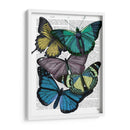 Grandes Mariposas Audaces 4 - Fab Funky | Cuadro decorativo de Canvas Lab