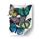 Grandes Mariposas Audaces 4 - Fab Funky | Cuadro decorativo de Canvas Lab