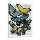 Grandes Mariposas Negras 6 - Fab Funky | Cuadro decorativo de Canvas Lab