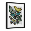 Grandes Mariposas Negras 6 - Fab Funky | Cuadro decorativo de Canvas Lab