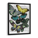 Grandes Mariposas Negras 6 - Fab Funky | Cuadro decorativo de Canvas Lab