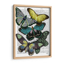 Grandes Mariposas Negras 6 - Fab Funky | Cuadro decorativo de Canvas Lab