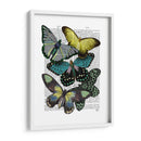 Grandes Mariposas Negras 6 - Fab Funky | Cuadro decorativo de Canvas Lab