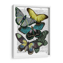 Grandes Mariposas Negras 6 - Fab Funky | Cuadro decorativo de Canvas Lab