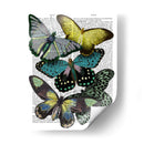 Grandes Mariposas Negras 6 - Fab Funky | Cuadro decorativo de Canvas Lab