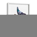 Gato Con Paloma En La Cabeza - Fab Funky | Cuadro decorativo de Canvas Lab