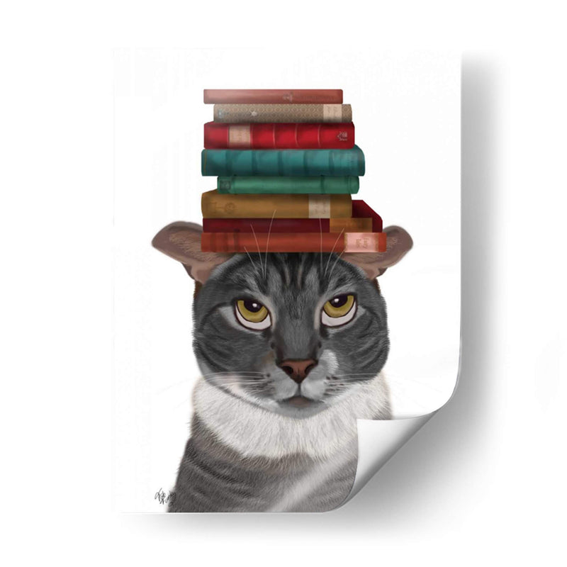 Gato Gris Con Libros En La Cabeza - Fab Funky | Cuadro decorativo de Canvas Lab