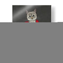Gato Gris Con Rosa Blanca - Fab Funky | Cuadro decorativo de Canvas Lab