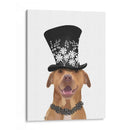 Pit Bull Con Sombrero Negro - Fab Funky | Cuadro decorativo de Canvas Lab