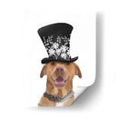 Pit Bull Con Sombrero Negro - Fab Funky | Cuadro decorativo de Canvas Lab