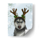 Husky Y Astas - Fab Funky | Cuadro decorativo de Canvas Lab