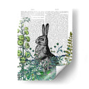 Conejo En El Jardín - Fab Funky | Cuadro decorativo de Canvas Lab