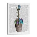Spade Y Búhos De Jardín. - Fab Funky | Cuadro decorativo de Canvas Lab