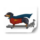 Dachshund En El Monopatín - Fab Funky | Cuadro decorativo de Canvas Lab