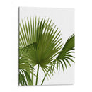 Ventilador 1, Verde En Blanco - Fab Funky | Cuadro decorativo de Canvas Lab