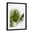 Ventilador 1, Verde En Blanco - Fab Funky | Cuadro decorativo de Canvas Lab