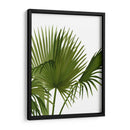 Ventilador 1, Verde En Blanco - Fab Funky | Cuadro decorativo de Canvas Lab