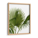 Ventilador 1, Verde En Blanco - Fab Funky | Cuadro decorativo de Canvas Lab