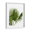 Ventilador 1, Verde En Blanco - Fab Funky | Cuadro decorativo de Canvas Lab