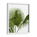 Ventilador 1, Verde En Blanco - Fab Funky | Cuadro decorativo de Canvas Lab