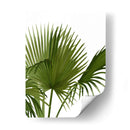 Ventilador 1, Verde En Blanco - Fab Funky | Cuadro decorativo de Canvas Lab