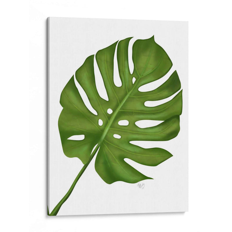 Hoja De Monstera 1, Verde En Blanco - Fab Funky | Cuadro decorativo de Canvas Lab