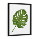 Hoja De Monstera 1, Verde En Blanco - Fab Funky | Cuadro decorativo de Canvas Lab