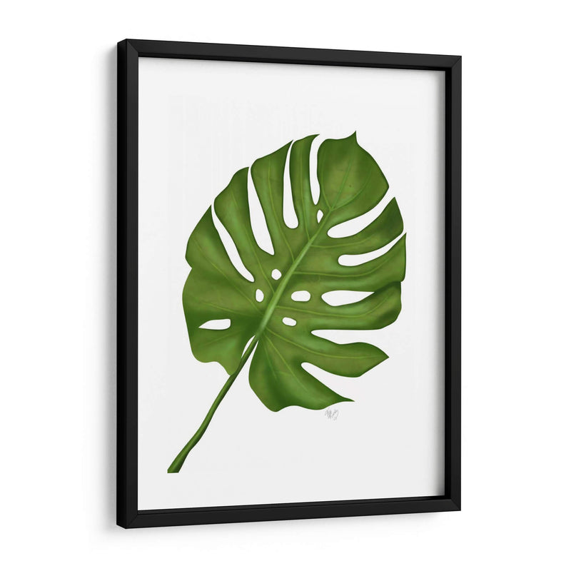 Hoja De Monstera 1, Verde En Blanco - Fab Funky | Cuadro decorativo de Canvas Lab