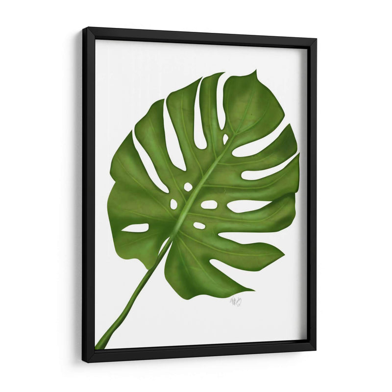 Hoja De Monstera 1, Verde En Blanco - Fab Funky | Cuadro decorativo de Canvas Lab