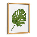 Hoja De Monstera 1, Verde En Blanco - Fab Funky | Cuadro decorativo de Canvas Lab