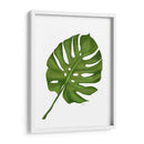 Hoja De Monstera 1, Verde En Blanco - Fab Funky | Cuadro decorativo de Canvas Lab