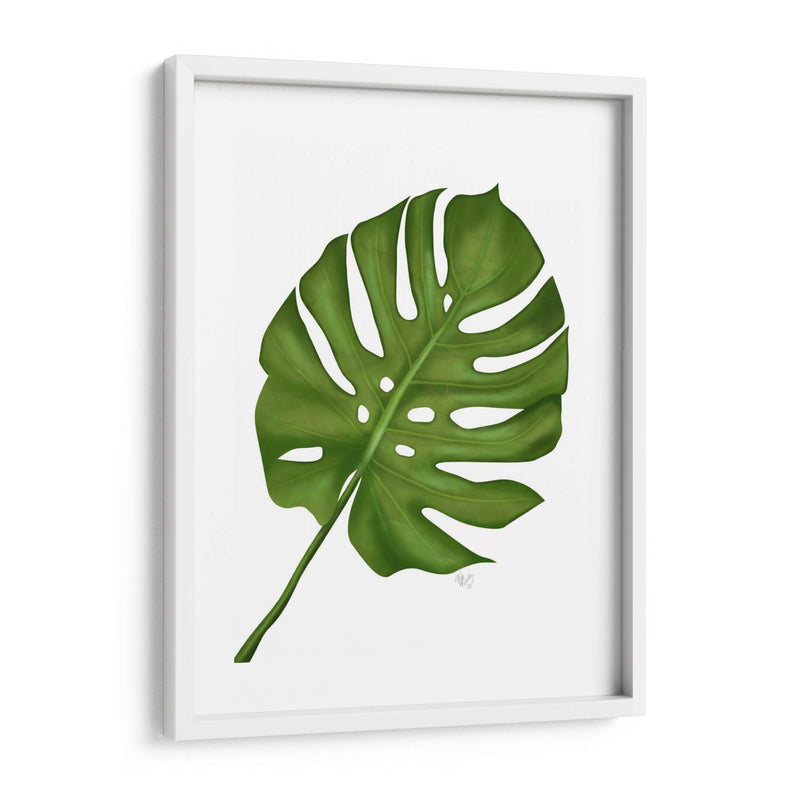 Hoja De Monstera 1, Verde En Blanco - Fab Funky | Cuadro decorativo de Canvas Lab