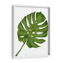 Hoja De Monstera 1, Verde En Blanco - Fab Funky | Cuadro decorativo de Canvas Lab