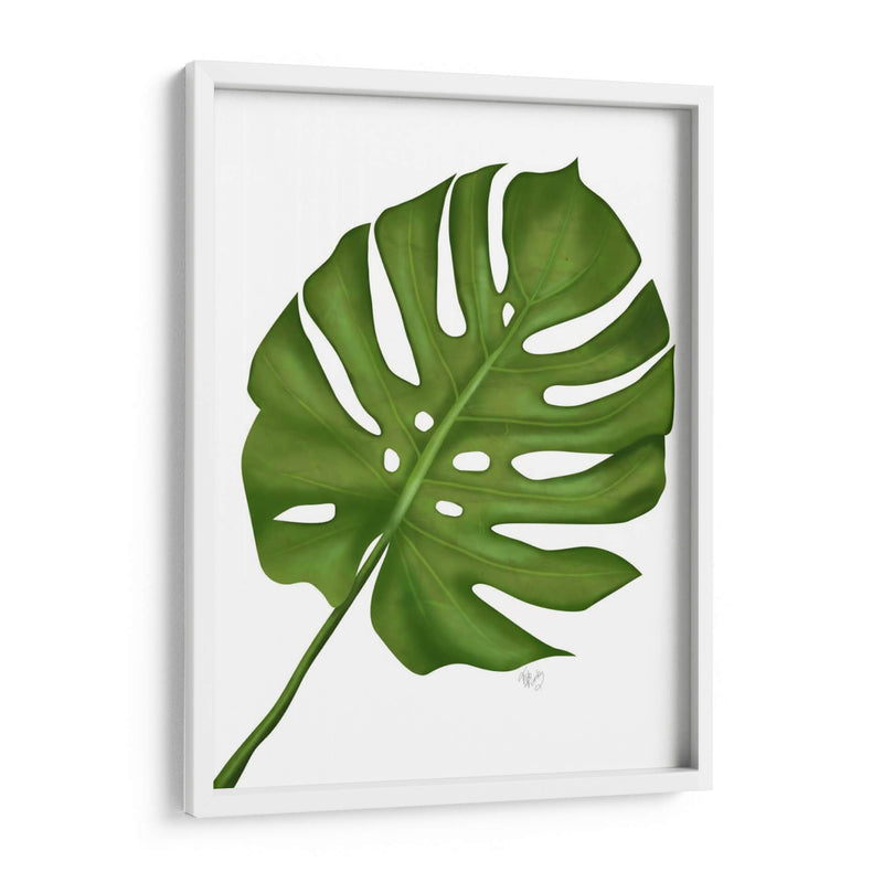 Hoja De Monstera 1, Verde En Blanco - Fab Funky | Cuadro decorativo de Canvas Lab