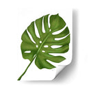 Hoja De Monstera 1, Verde En Blanco - Fab Funky | Cuadro decorativo de Canvas Lab