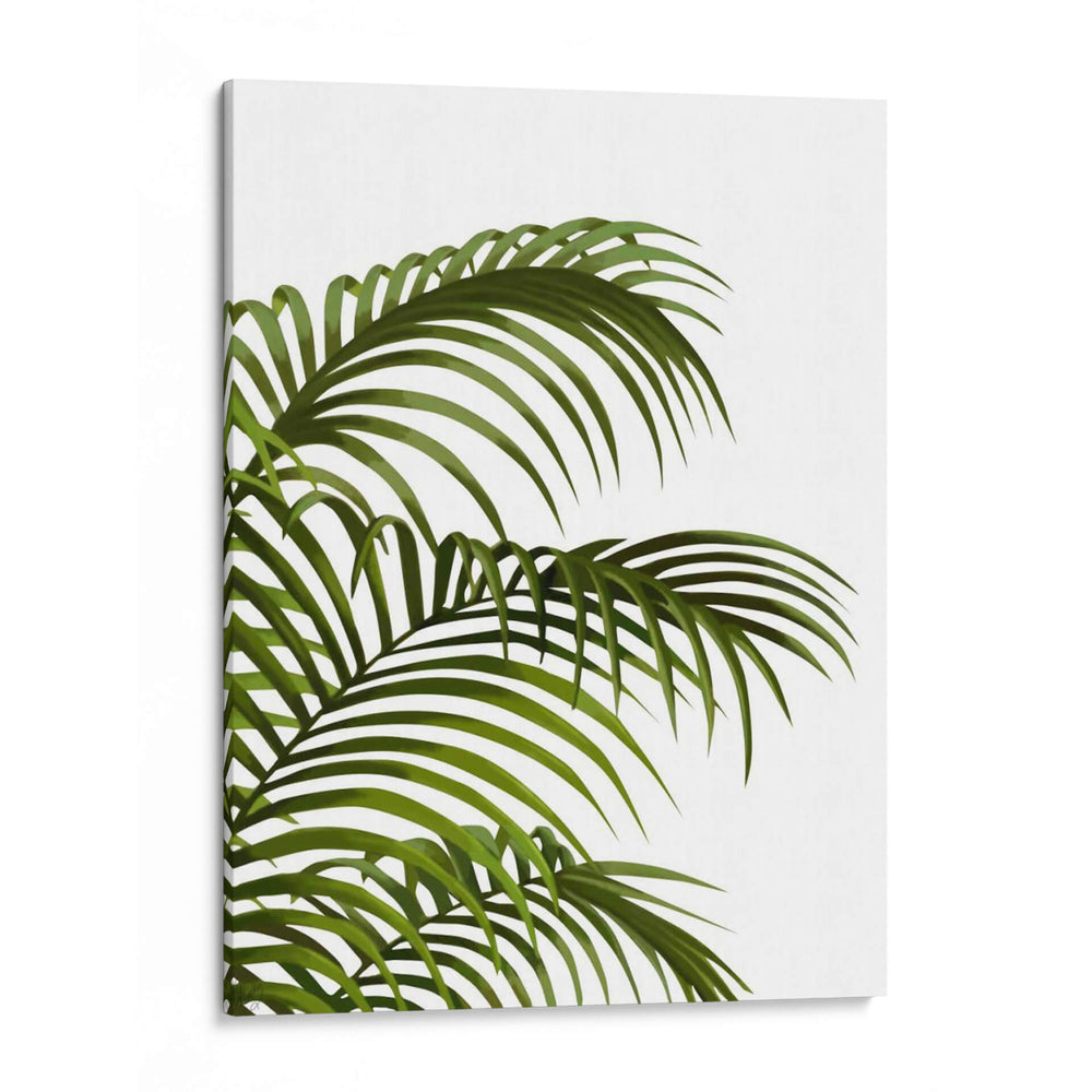Hoja De Palma 1, Verde En Blanco - Fab Funky | Cuadro decorativo de Canvas Lab