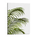 Hoja De Palma 1, Verde En Blanco - Fab Funky | Cuadro decorativo de Canvas Lab