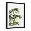 Hoja De Palma 1, Verde En Blanco - Fab Funky | Cuadro decorativo de Canvas Lab