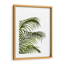 Hoja De Palma 1, Verde En Blanco - Fab Funky | Cuadro decorativo de Canvas Lab