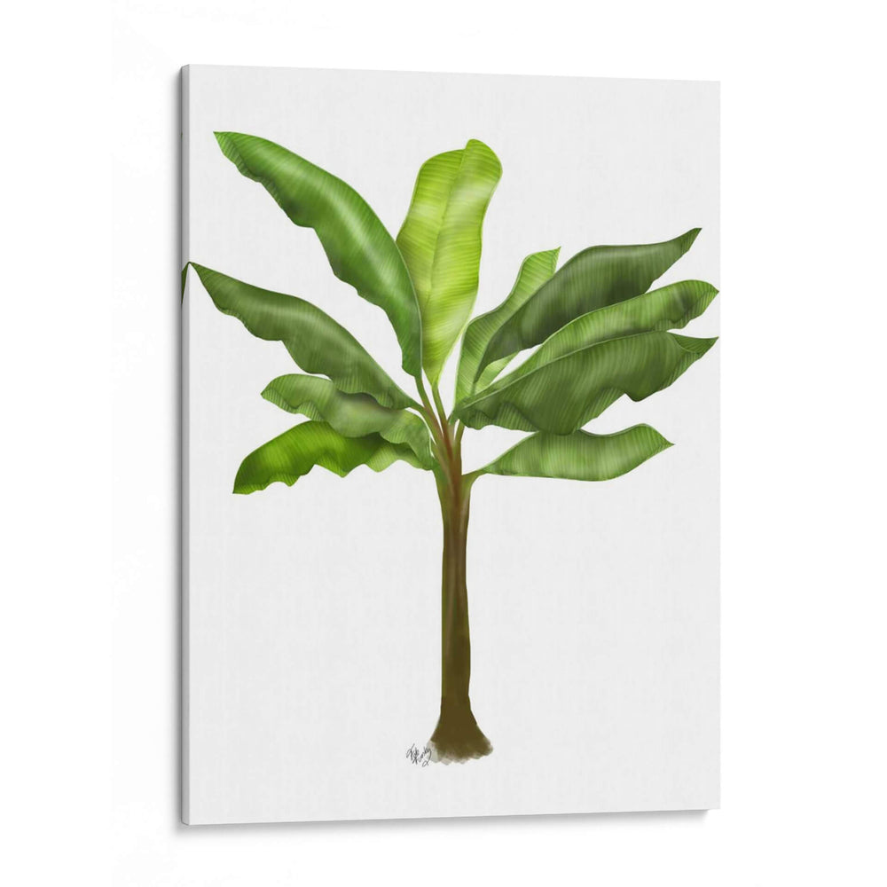 Plátano 1 - Fab Funky | Cuadro decorativo de Canvas Lab