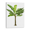 Plátano 1 - Fab Funky | Cuadro decorativo de Canvas Lab